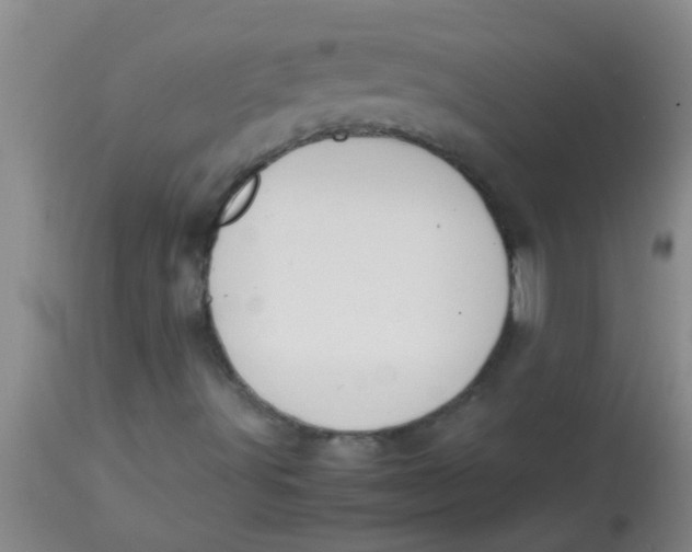 X0000113871491200910151247