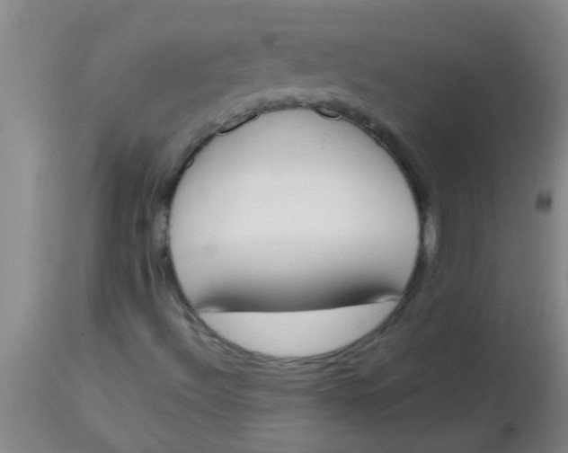 X0000113871492200910151247