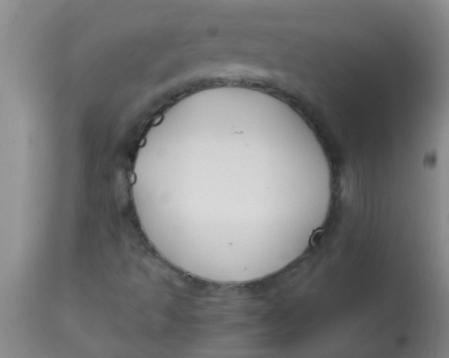 X0000113871493200910151247