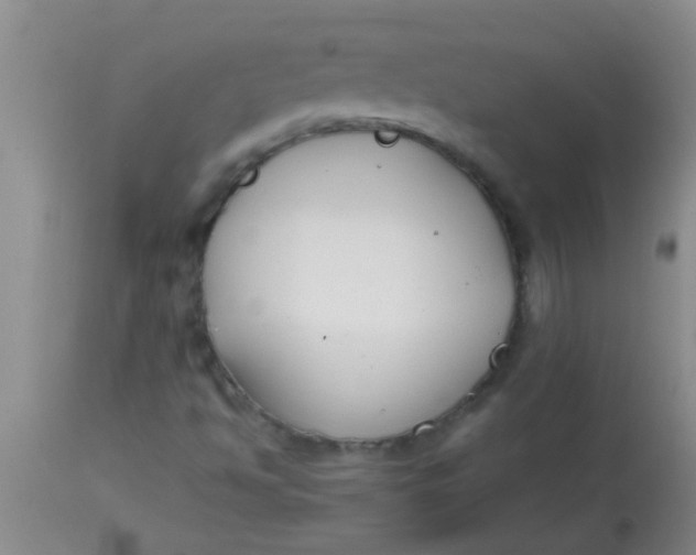 X0000113871494200910151247