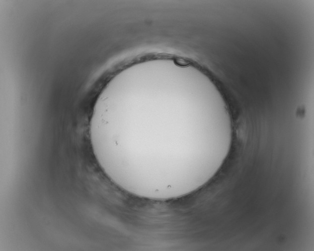 X0000113871495200910151247