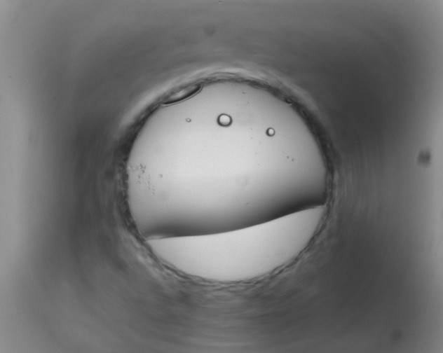 X0000113871496200910151247