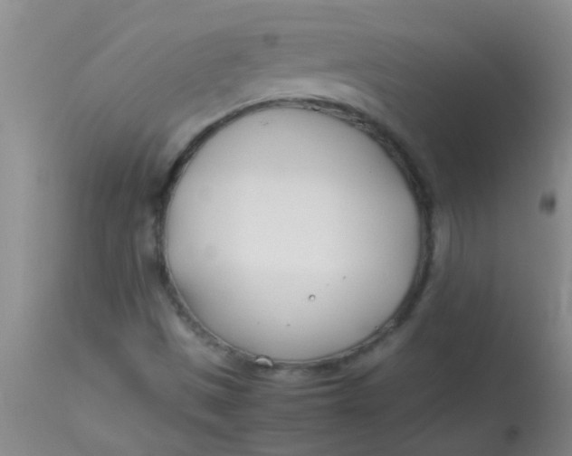 X0000113871497200910151248