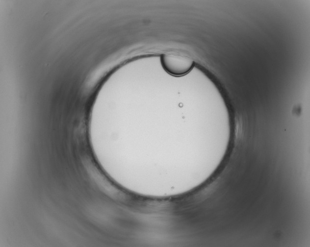 X0000113871498200910151248