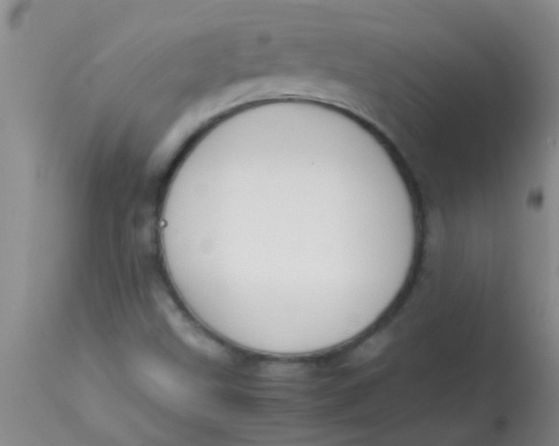 X0000113871499200910151248