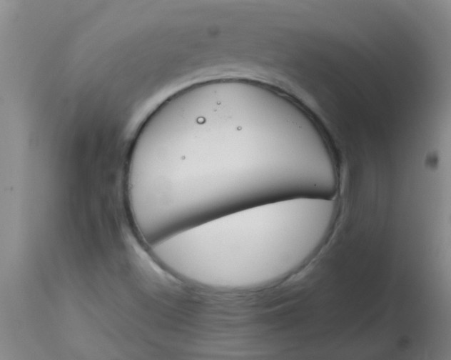 X0000113871500200910151248