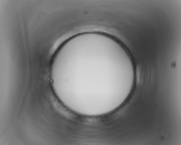 X0000113871501200910151248