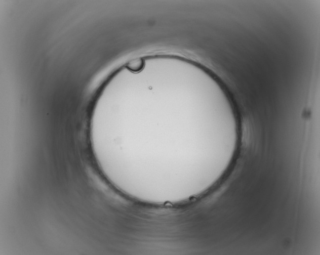 X0000113871502200910151248