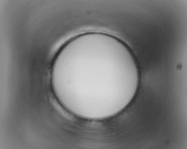 X0000113871503200910151248