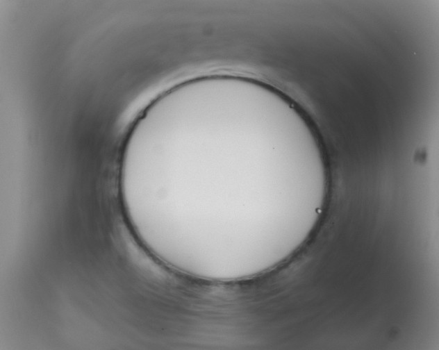 X0000113871504200910151248