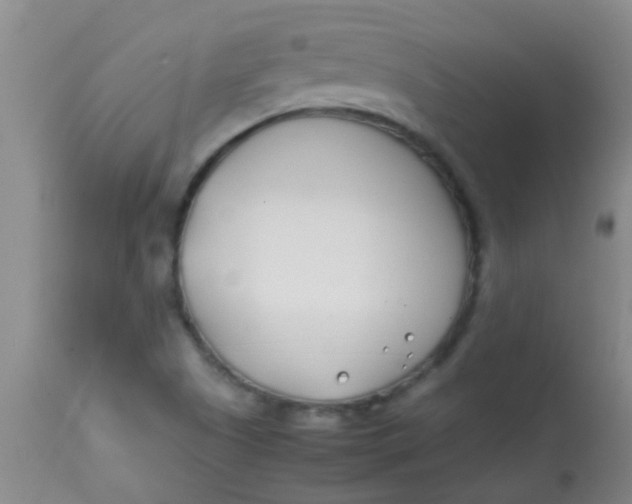 X0000113871505200910151248