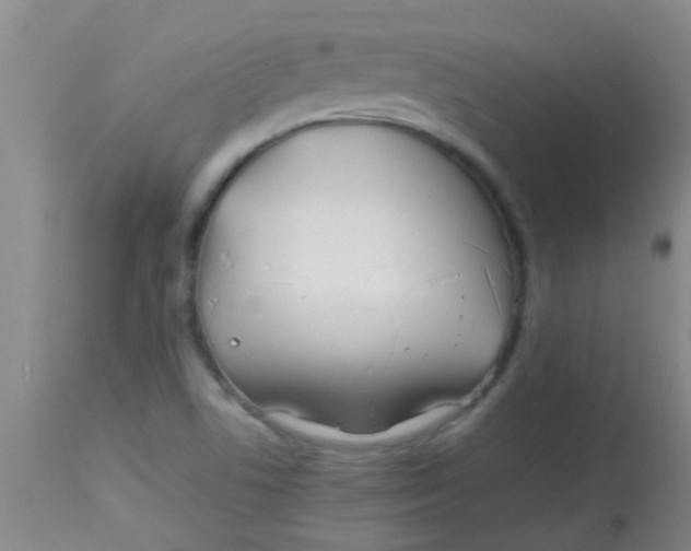 X0000113871506200910151248