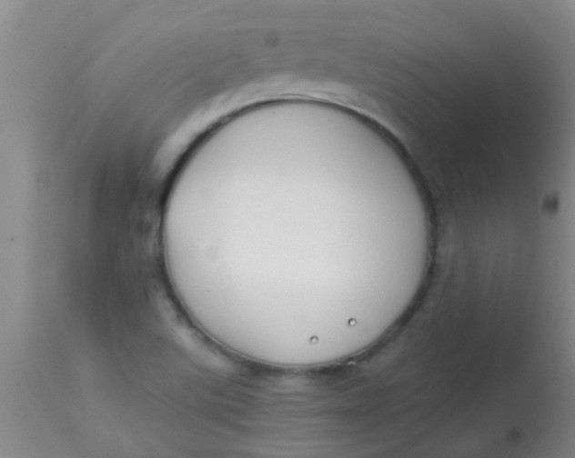 X0000113871507200910151248