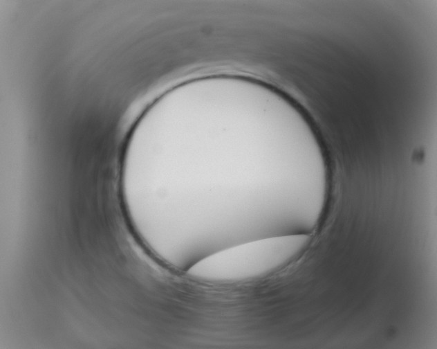 X0000113871508200910151248