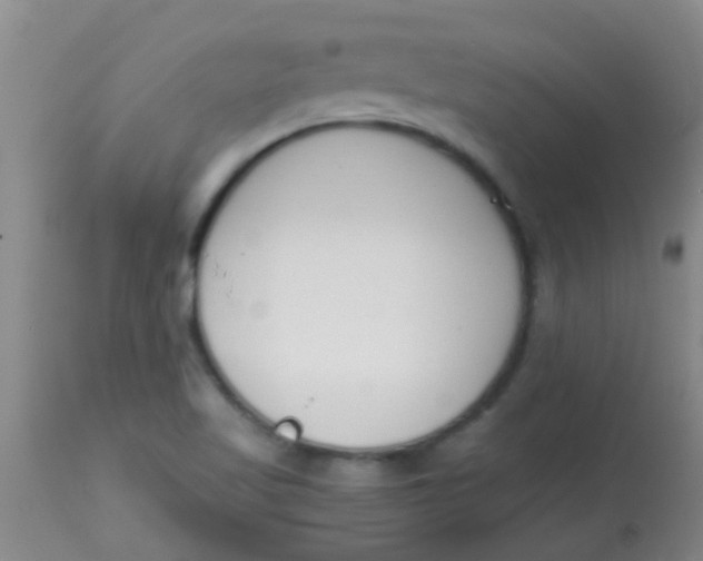 X0000113871509200910151248