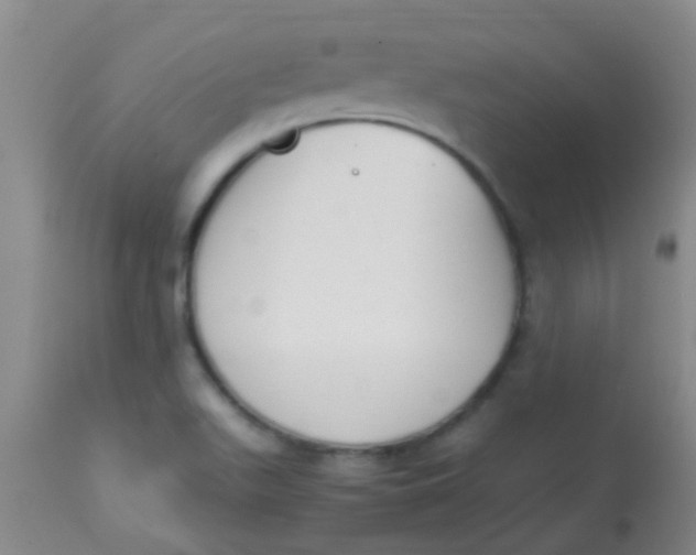 X0000113871511200910151248