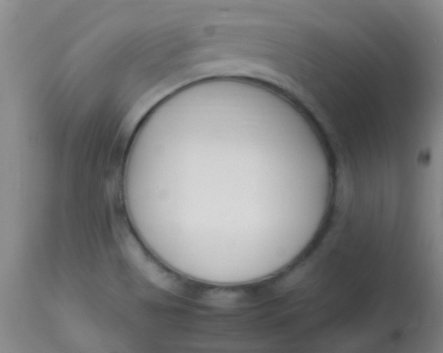 X0000113871513200910151248