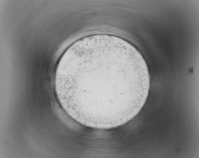 X0000113871514200910151248