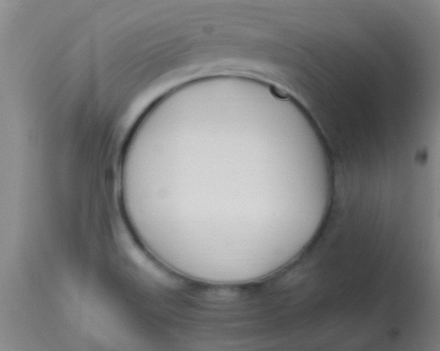 X0000113871515200910151248