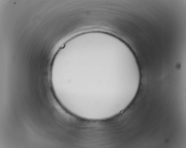 X0000113871516200910151248