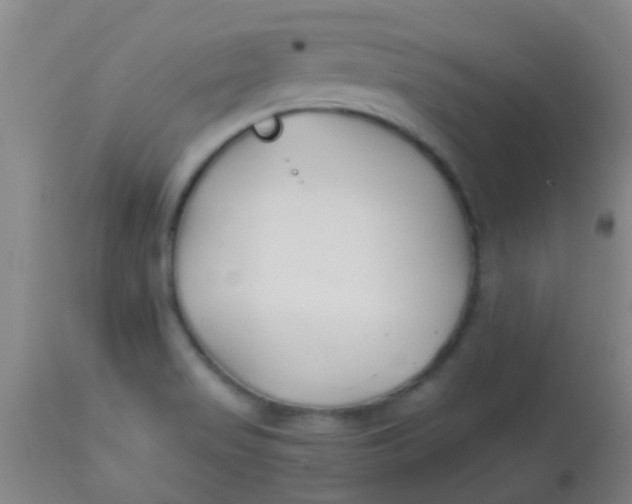 X0000113871517200910151248