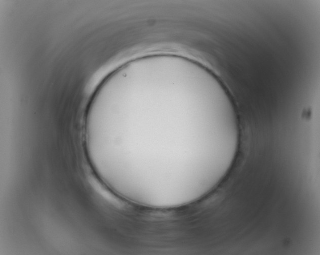 X0000113871519200910151248