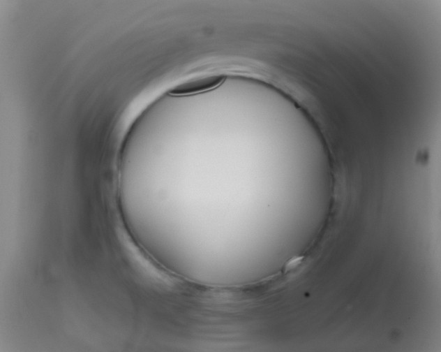 X0000113871520200910151248