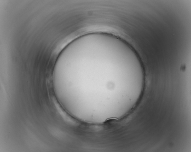 X0000113871521200910151248