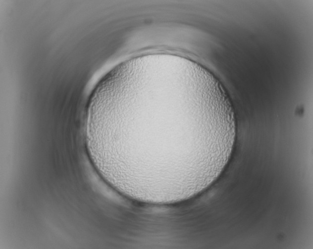 X0000113871522200910151248