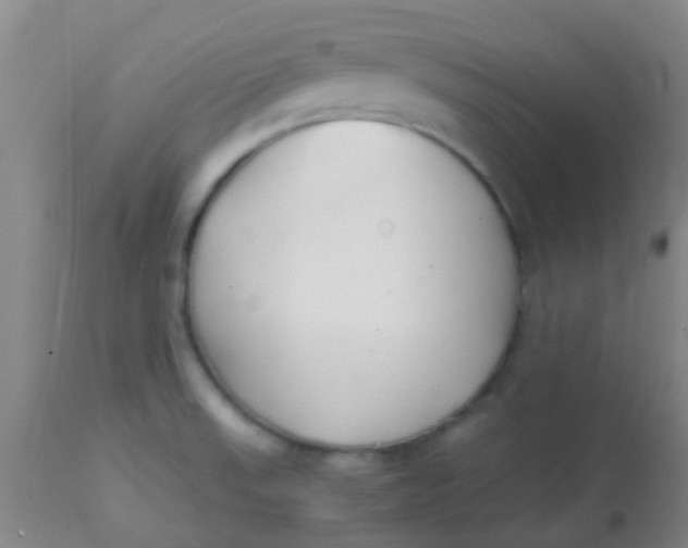 X0000113871523200910151248