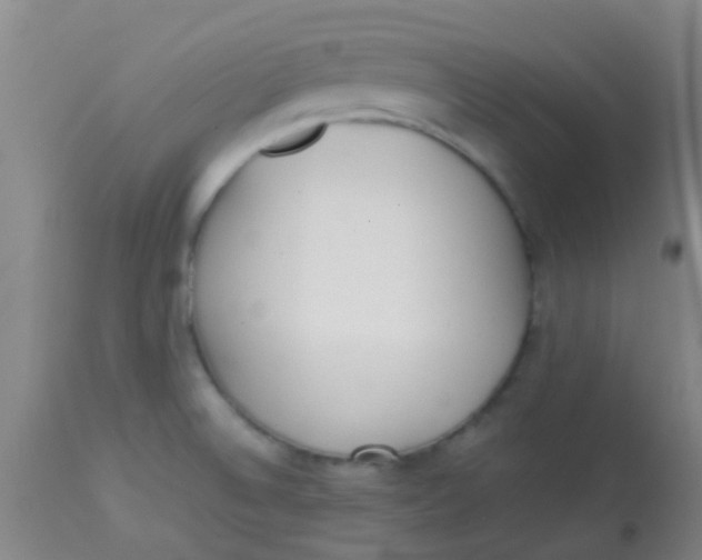 X0000113871524200910151248