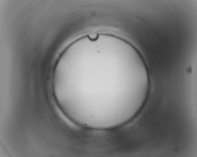 X0000113871525200910151248