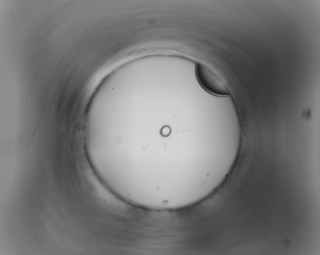 X0000113871526200910151248