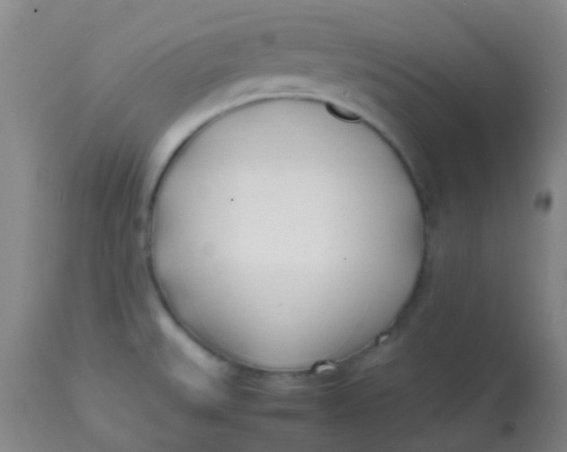 X0000113871527200910151248