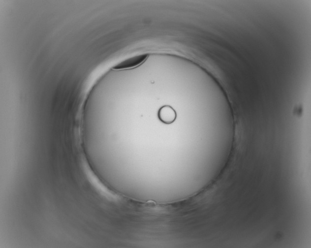 X0000113871528200910151248