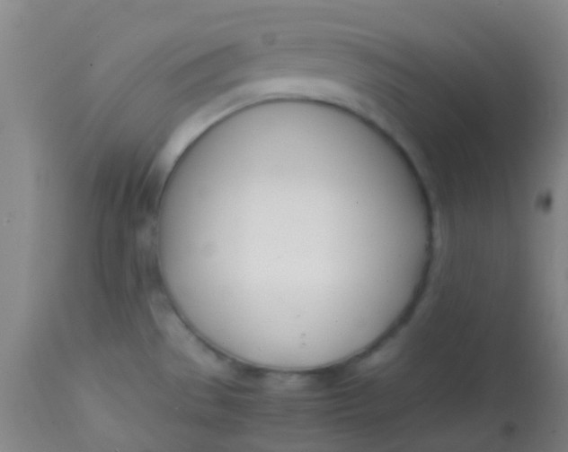 X0000113871529200910151248