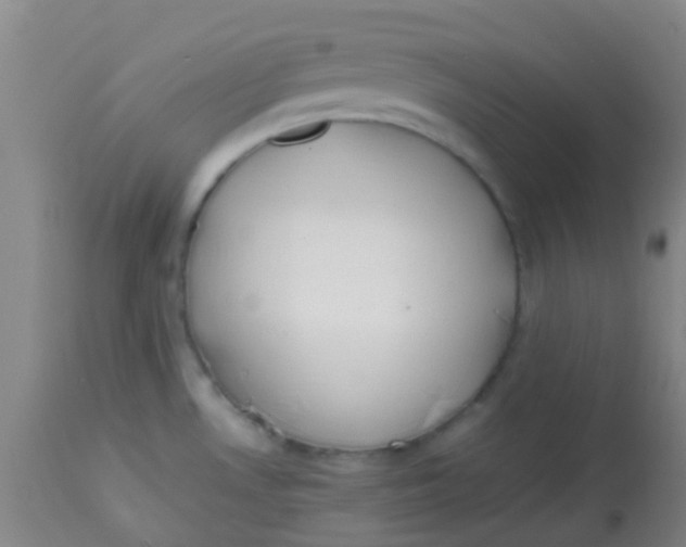 X0000113871530200910151248