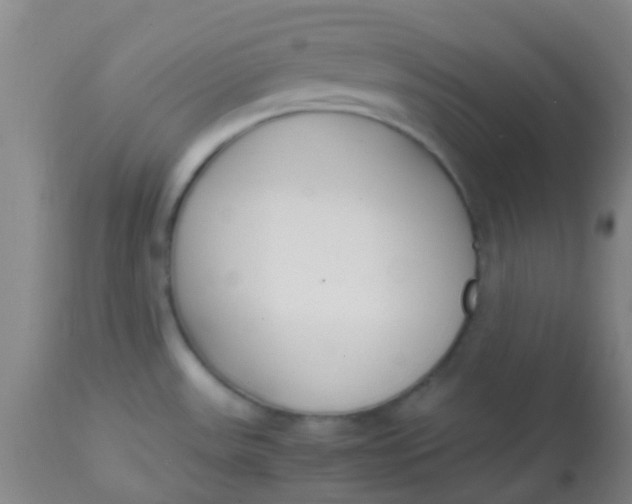 X0000113871531200910151248