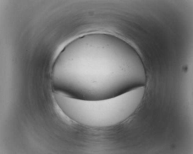 X0000113871532200910151248