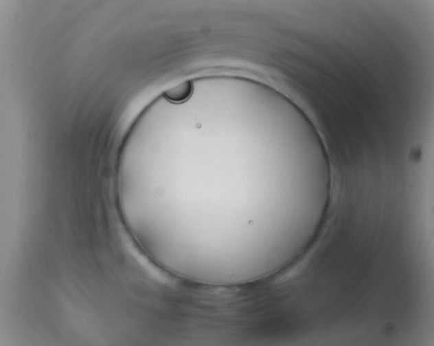 X0000113871533200910151248