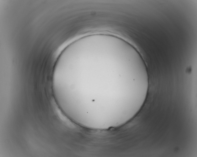 X0000113871534200910151248