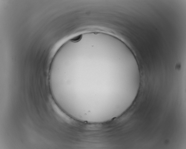 X0000113871535200910151248