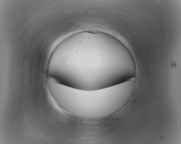 X0000113871536200910151248