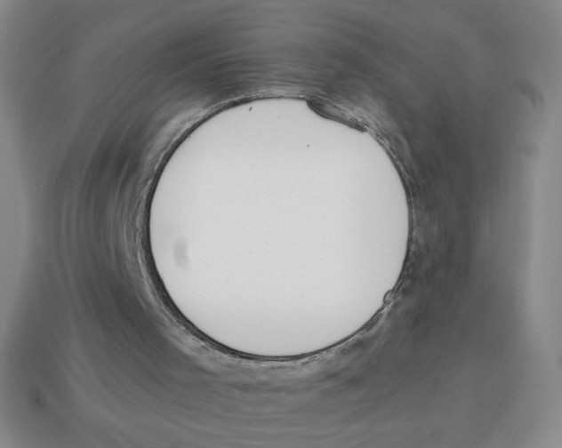 X0000113870001200910221344
