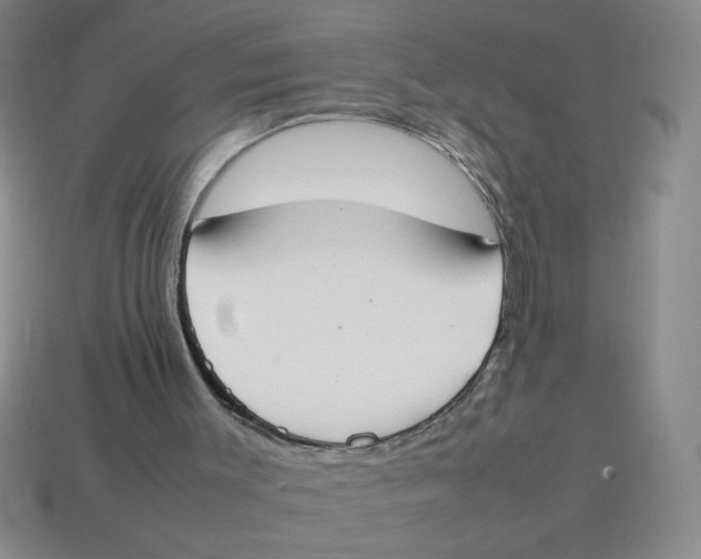 X0000113870003200910221344
