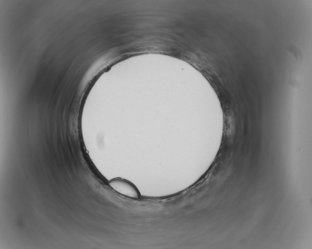 X0000113870004200910221344