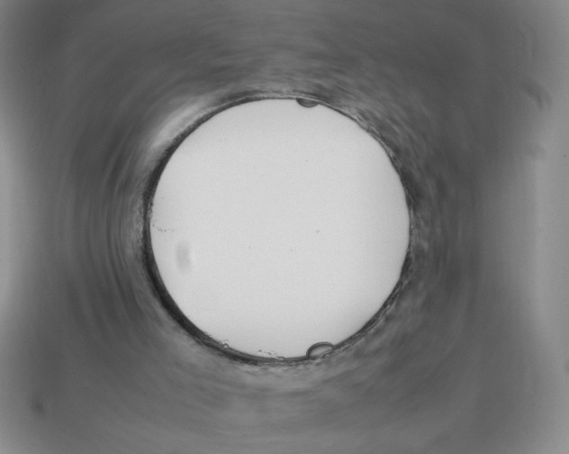 X0000113870005200910221344