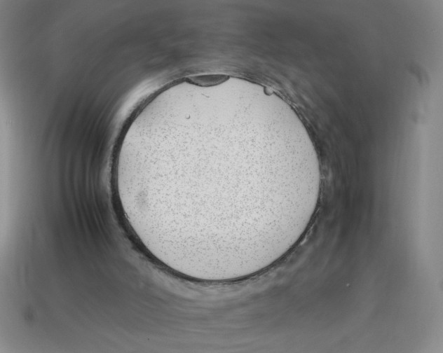 X0000113870006200910221344