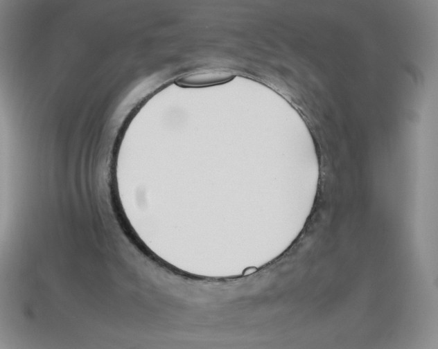 X0000113870007200910221344