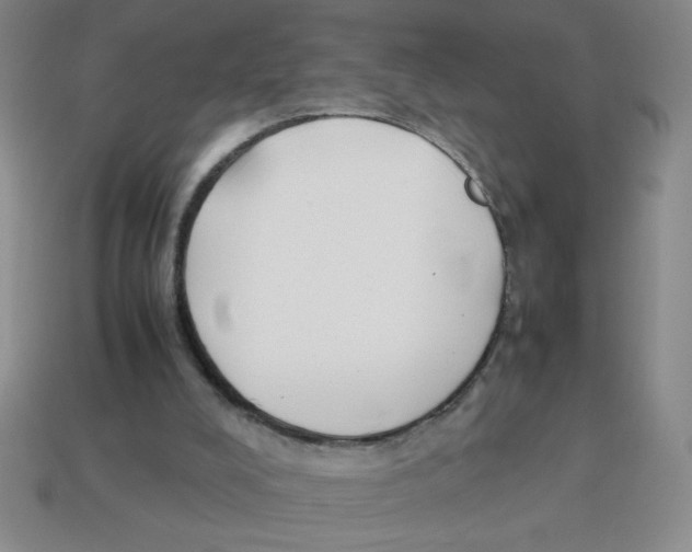 X0000113870008200910221344